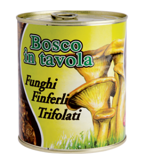 NOVA FUNGHI FINFERLI...