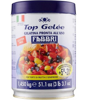 FABBRI GELATINA PRONTA...