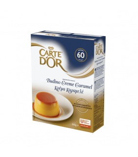 CARTE D'OR BUDINO CREME...