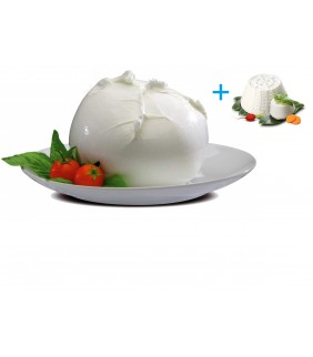 BUFFALO MOZZARELLA BELL...