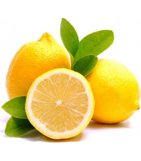 FRESH LEMONS OF SORRENTO...