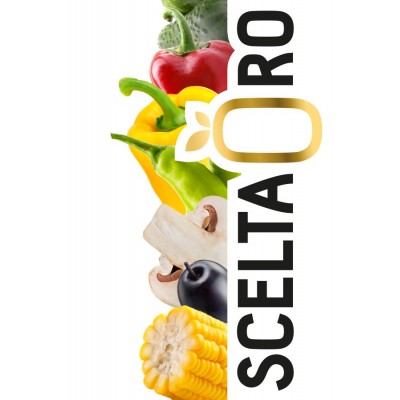 SCELTA D'ORO