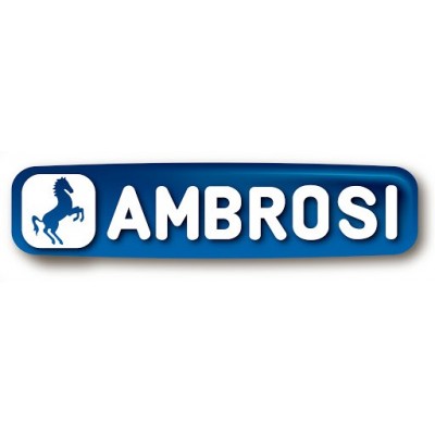 AMBORSI