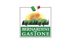 BERNARDINI GASTONE