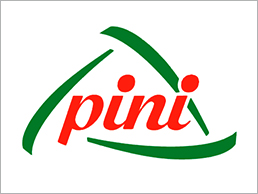 PINI